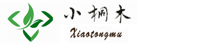 小桐木